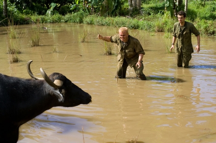 tropic hunter impression