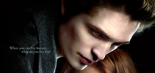050608_twilightposter2.jpg
