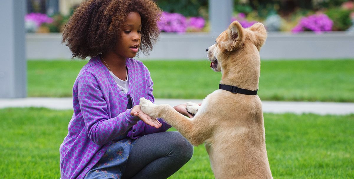 Watch Final Annie Trailer Starring Jamie Foxx and Quvenzhané Wallis