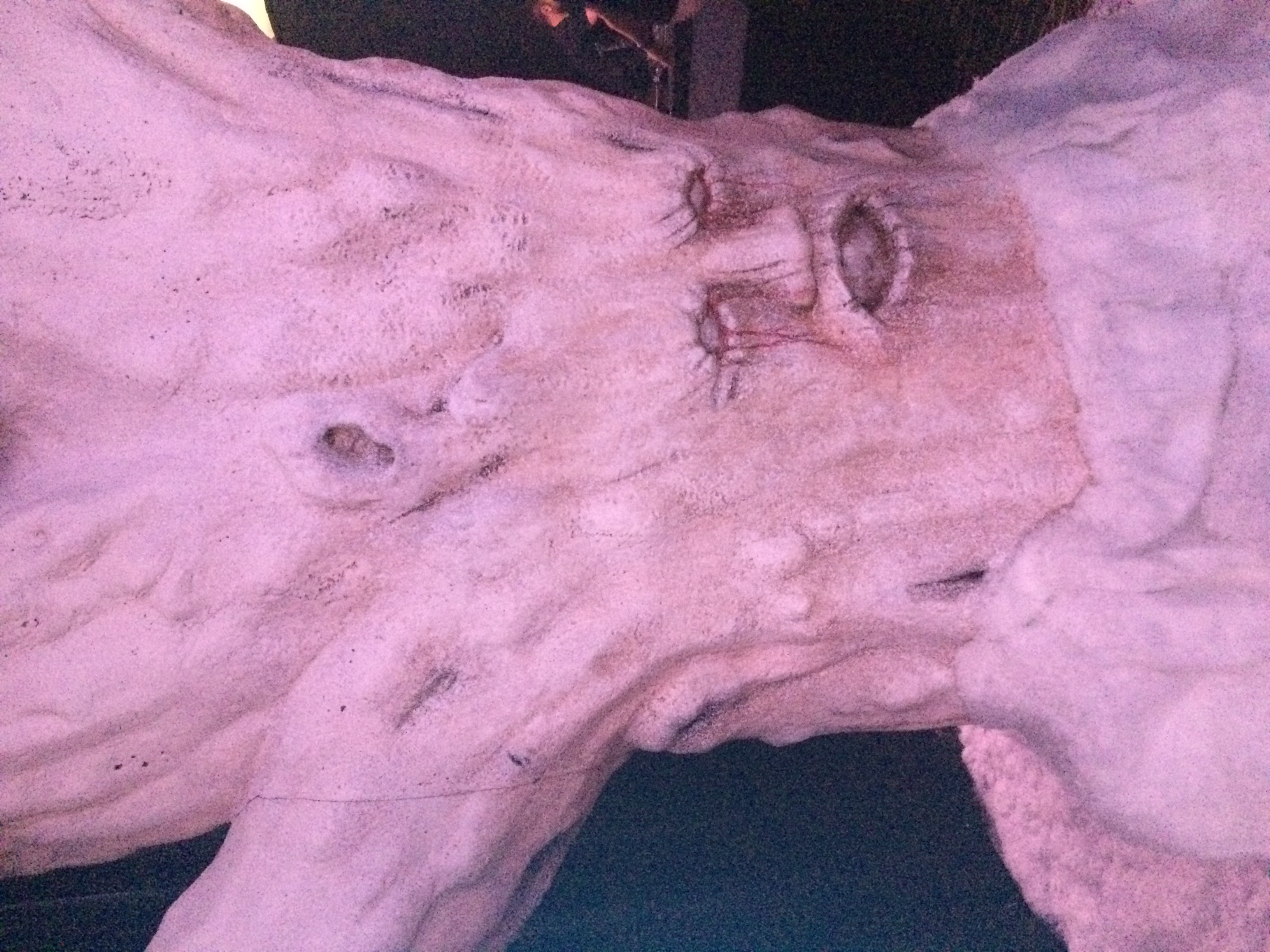 HBO's 'Winter Is Here' Exhibit Invites You Into 'Game Of Thrones