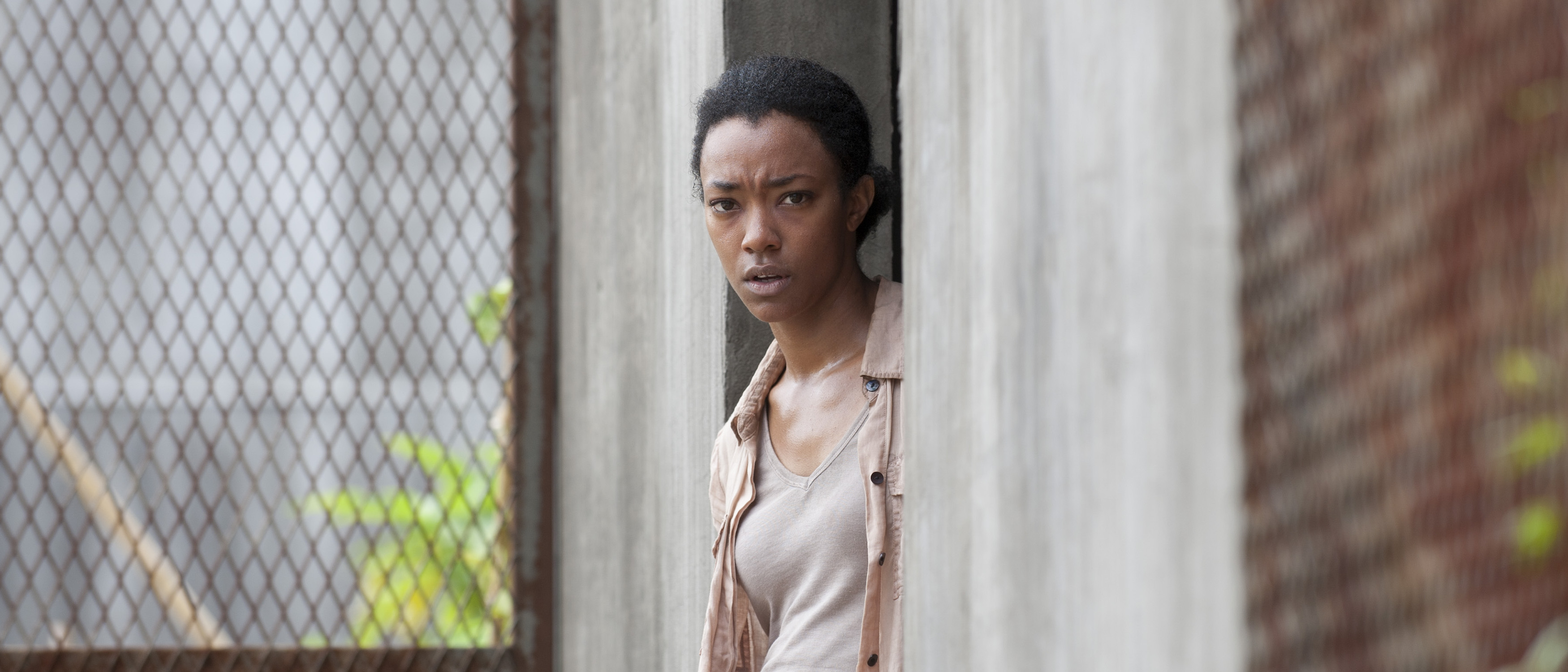 The Walking Dead TV Series 2010 - IMDb