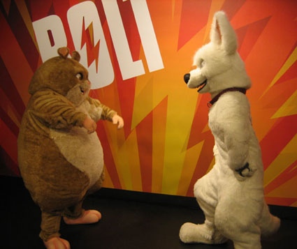 bolt globe loss