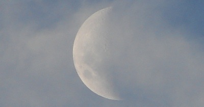 dreamworks bad