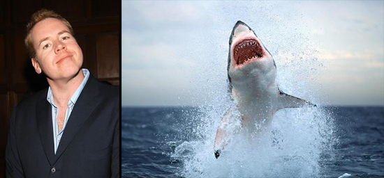 ellis_shark ellis_shark