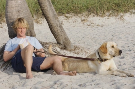 marley and me hanging at the beach