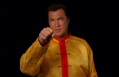 steven-seagal-puncher.jpg