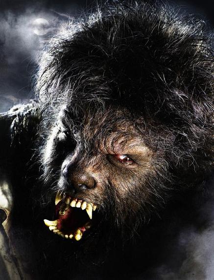 wolfman