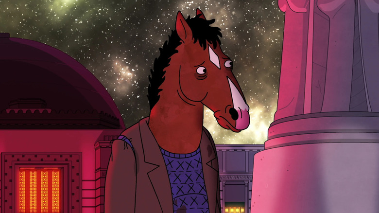 BoJack Horseman stands at an observatory with stars above him in BoJack Horseman.