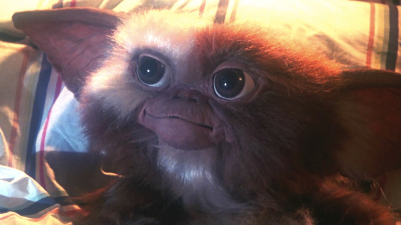 Gizmo in "Gremlins."