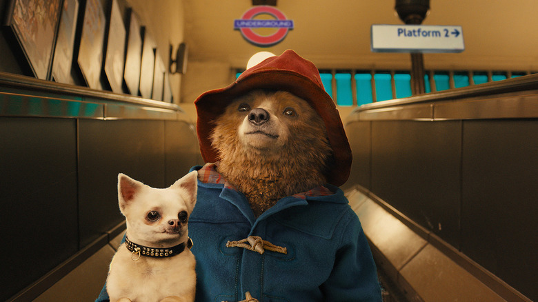 Paddington and dog