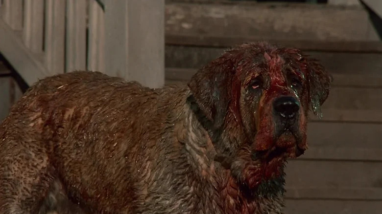A bloody Cujo stands by a porch in Cujo