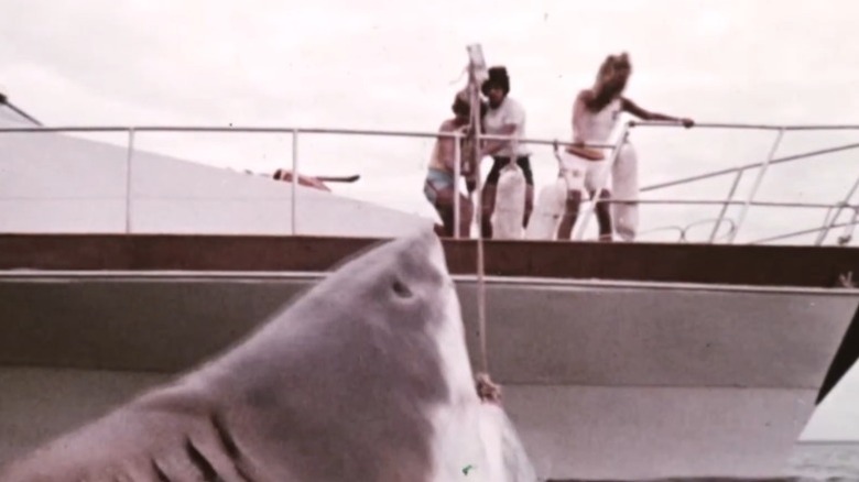 The shark attacks a boat