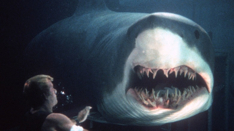 10 Underrated Shark Movies That You Should Check Out