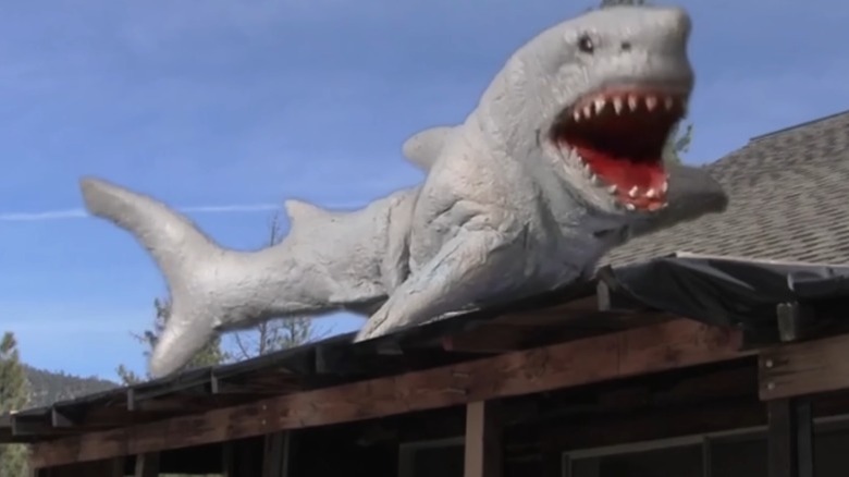 The shark attacks from a roof
