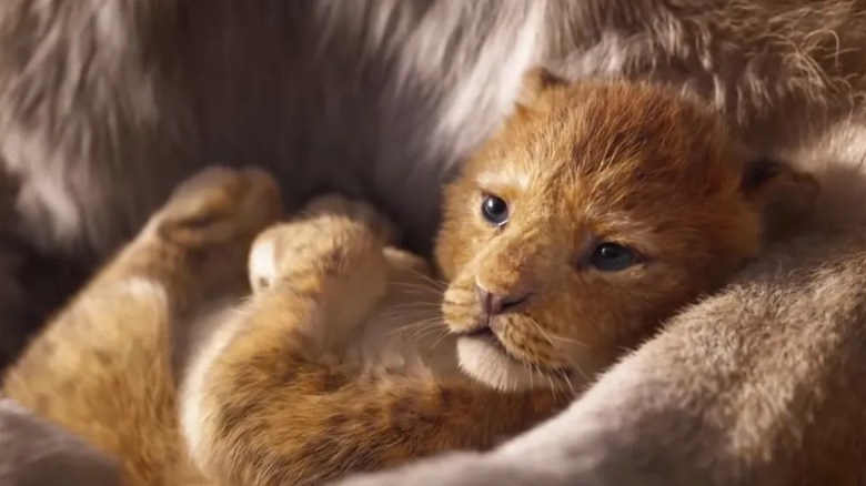 Simba being cradled in 2019's The Lion King