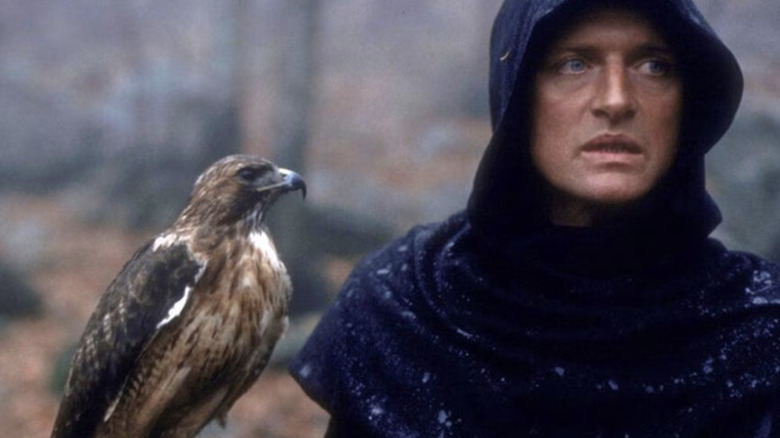 Captain Navarre (Rutger Hauer) holding a hawk in Ladyhawke