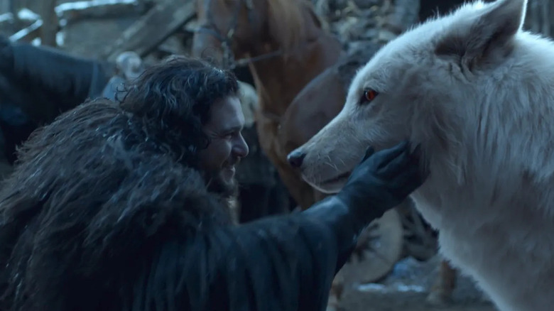 Kit Harington as Jon Snow petting Ghost in Game of Thrones
