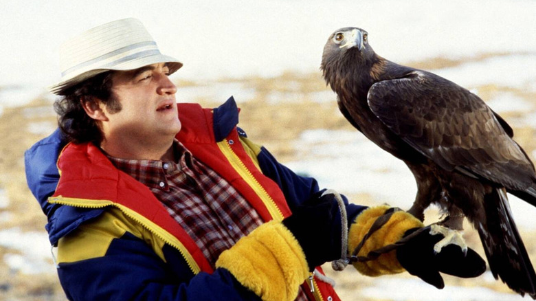 John Belushi as Ernie Souchak holds a bird in the mountains in The Continental Divide