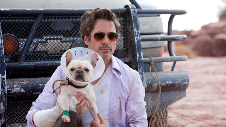 Robert Downey Jr. as Peter holding a dog with a cone on in Due Date