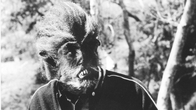 Tony as werewolf in woods in I Was a Teenage Werewolf