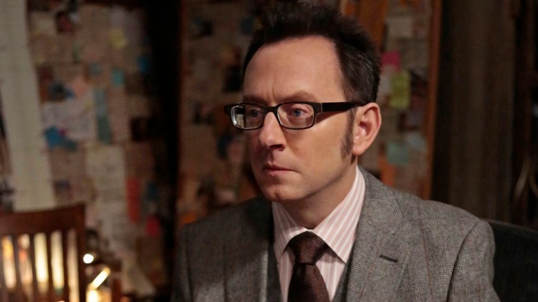 Finch, contemplative