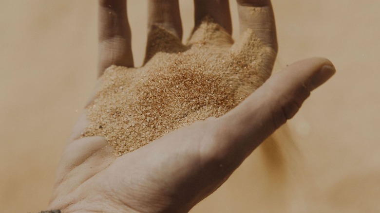 Sand sifting through hand Dune
