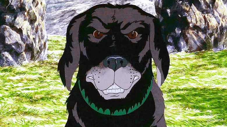 The Plague Dogs