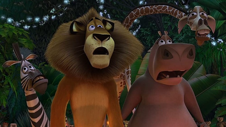 Madagascar animals 