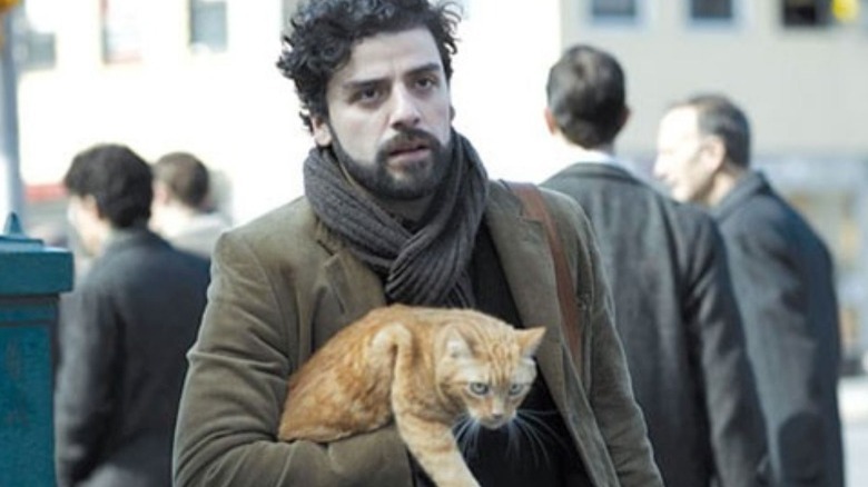 Oscar Isaac holding cat