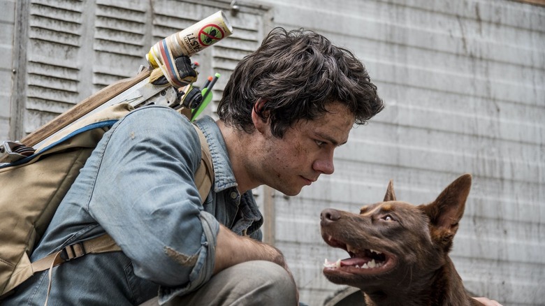 Dylan O'Brien and dog