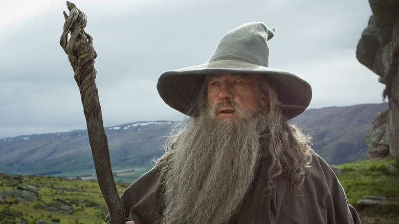 Ian McKellen as Gandalf the Grey