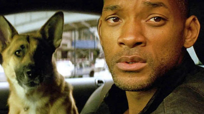 Dr. Robert Neville (Will Smith) and his dog in I Am Legend