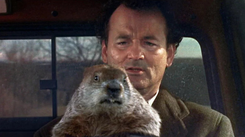 Phil Connors (Bill Murray) stares at a groundhog while driving in Groundhog Day