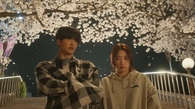 Yeo Jeong-woo (Park Hyung-sik) and Nam Ha-neul (Park Shin-hye) walk under cherry blossoms in Doctor Slump