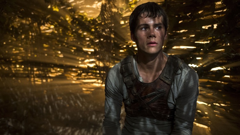 Thomas (Dylan O'Brien) hides under a grassy overhang in The Maze Runner
