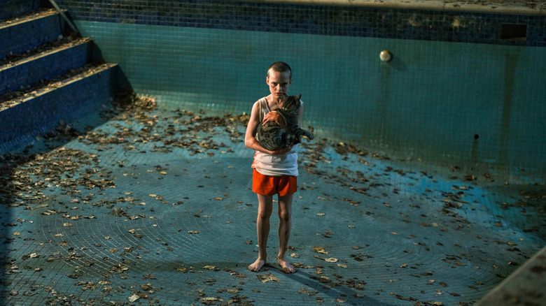 Jonah Wren Phillips as Oliver, bloody and holding a cat in Bring Her Back