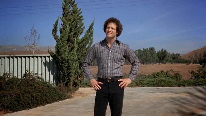 Albert Brooks as Albert Brooks in Real Life