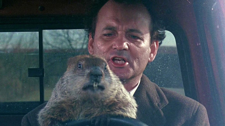 Bill Murray as Phil Connors driving a truck with a groundhog in Groundhog Day