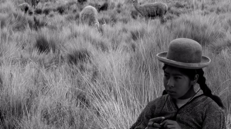 Luz Diana Mamani as Yana-Wara sitting in a tall grass field in Yana-Wara