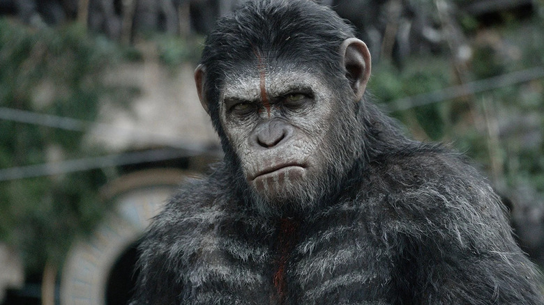 Andy Serkis as Caeser with his war paint on in Dawn of the Planet of the Apes