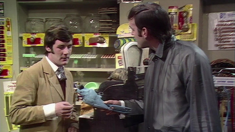 John Cleese holding a dead parrot to Michael Palin in Monty Python's Flying Circus