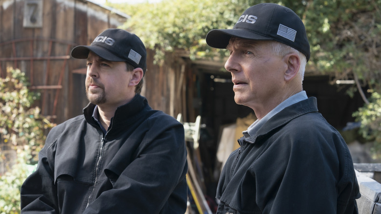 Timothy McGee (Sean Murray) and Leroy Gibbs (Mark Harmon) at a crime scene on NCIS