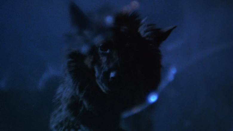The beast on the hunt in The Beast Must Die