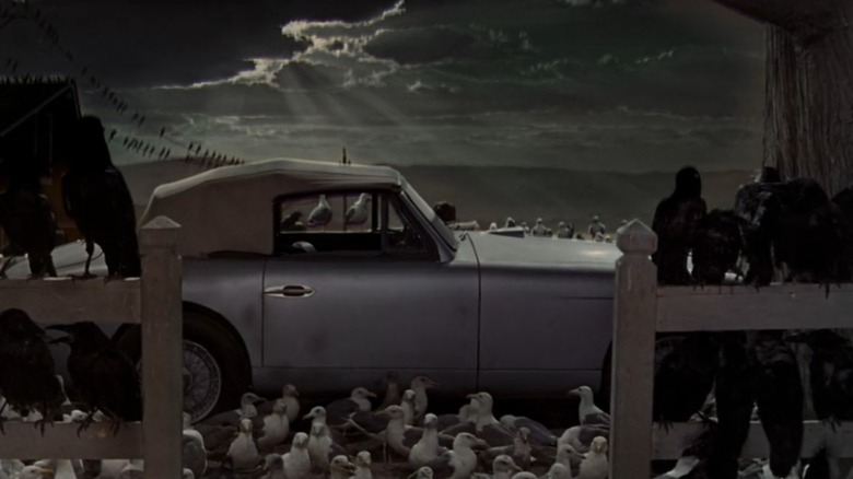 The bird-covered car from the end of The Birds, a strange sunrise in the distance