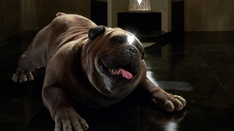 Lockjaw, ready to play, in Inhumans