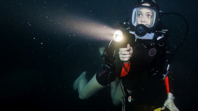 47 meters down diver shines flashlifhgt