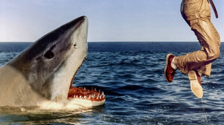 the last shark man jumps out of water