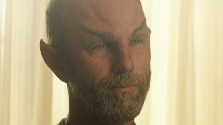 Zhaban (Jamie McShane) stands by a sunny window in Star Trek: Picard