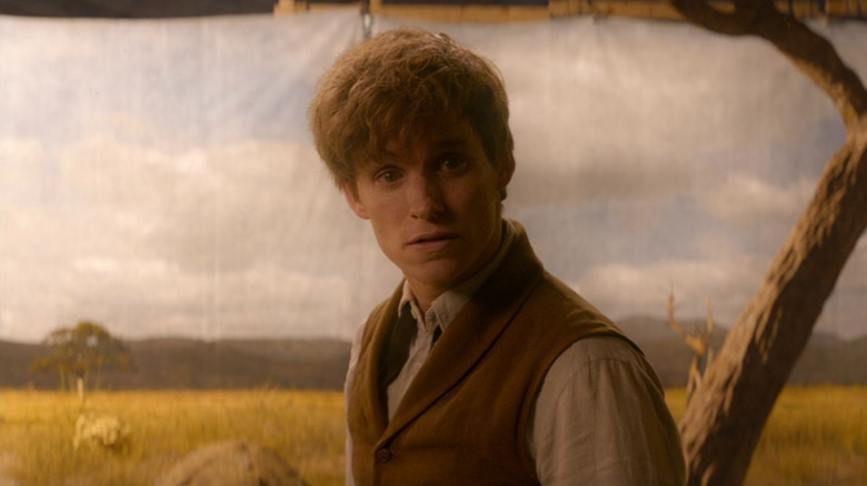 Newt Scamander (Eddie Redmayne) standing next to a sheet with a tree on it in Fantastic Beasts and Where to Find Them