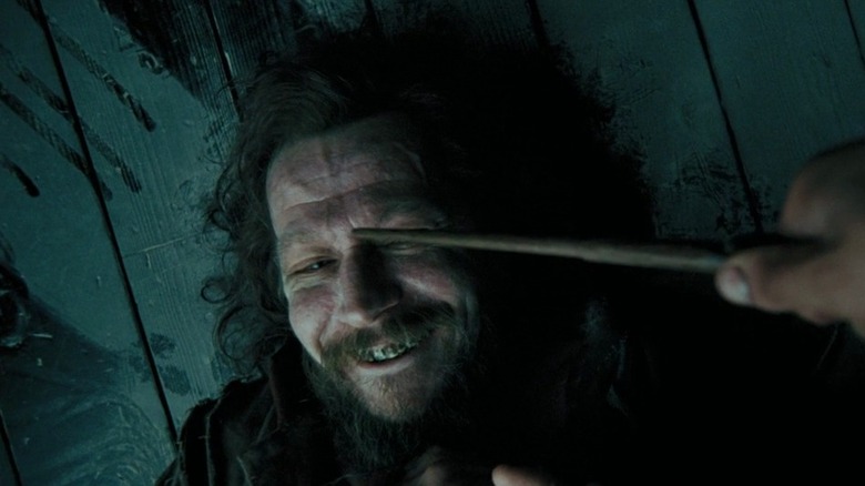 Wand pointed at Sirius Black (Gary Oldman) in Harry Potter and the Prisoner of Azkaban